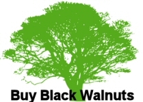 Buy Black  Walnuts Logo